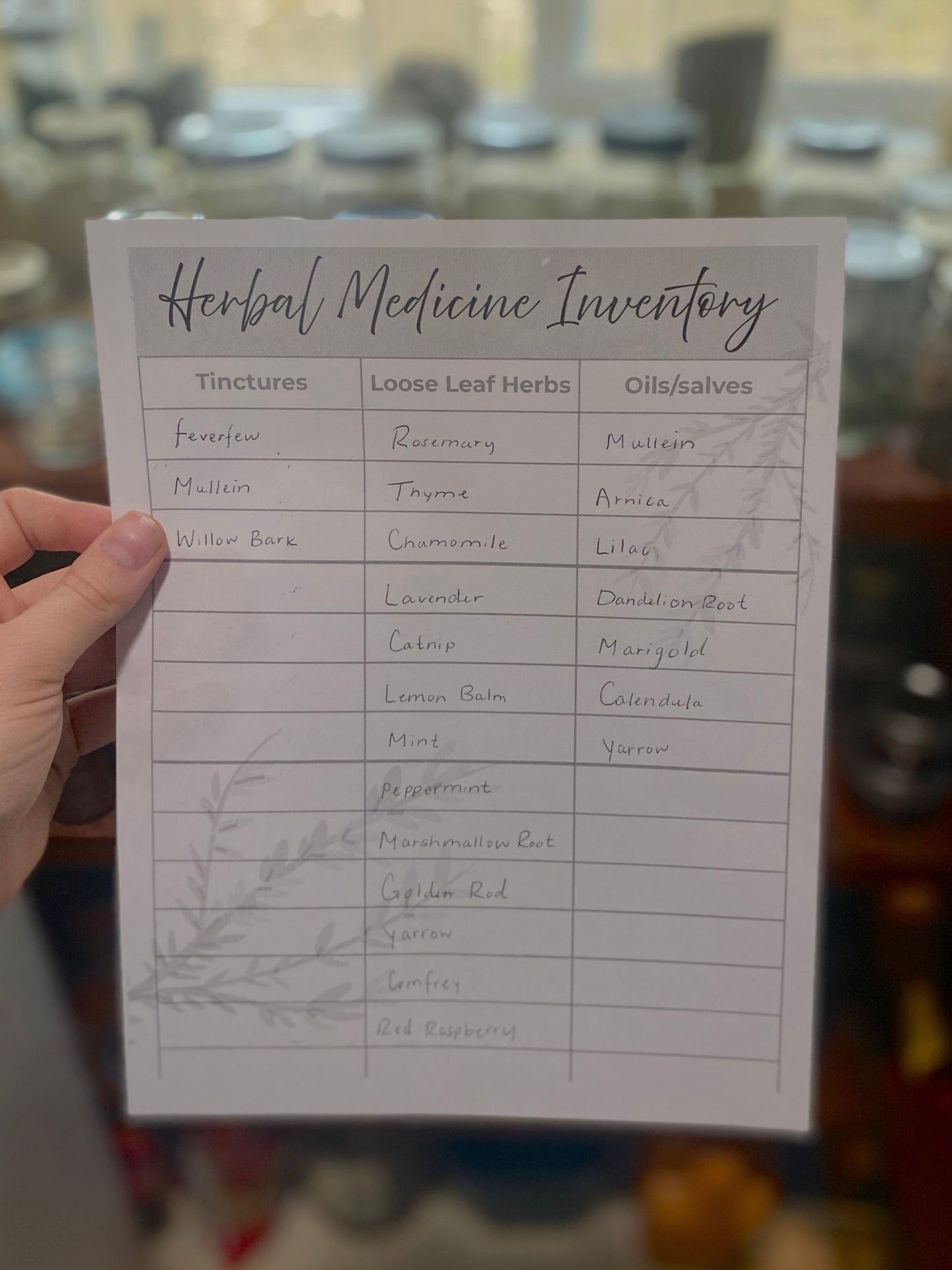 Herbal Medicine Inventory - Digital Download